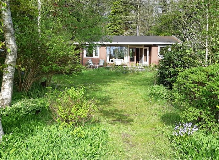 Sunrise at Cottage in Koekange, cottage in Southwest Drenthe, overlooking misty fields and trees.