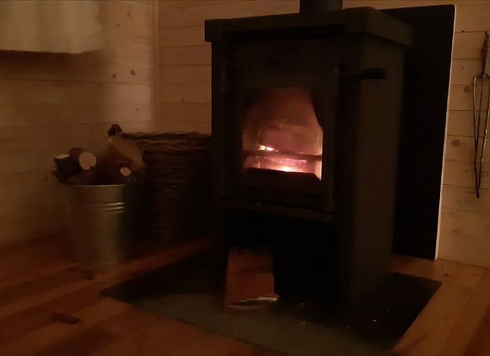 Front view of Cottage in Koekange, vacation home in Southwest Drenthe, surrounded by lush green garden.