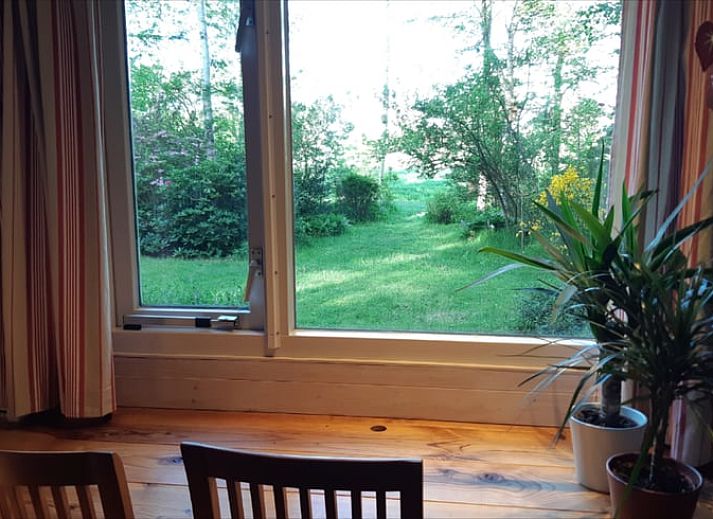 Blossom in full bloom at Cottage in Koekange, vacation home in southwest Drenthe, with veranda in the background.