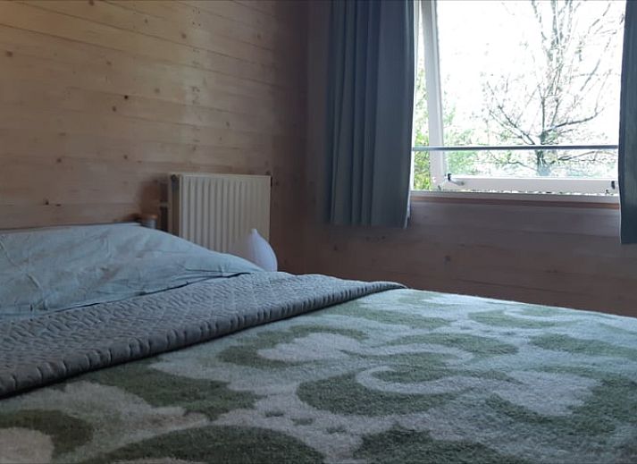 Blossom in full bloom at Cottage in Koekange, vacation home in southwest Drenthe, with veranda in the background.