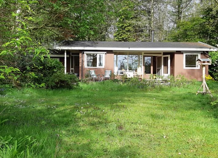 Cozy porch of Huisje in Koekange, cottage in Southwest Drenthe, with tea and garden views.