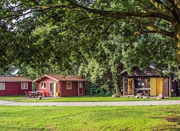 Gezellig vakantiehuisje in Koekange met terras in Zuidwest Drenthe, ideaal voor natuurbeleving.