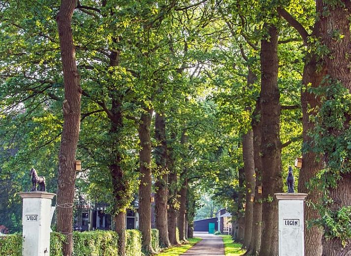 Vakantiehuisje in Koekange omringd door groen, perfect voor een ontspannen verblijf in Zuidwest Drenthe.
