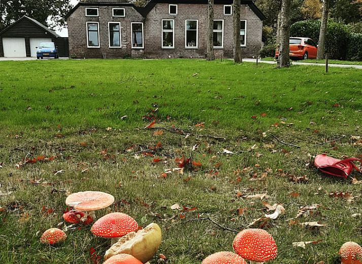 Verblijf 202011 • Vakantiewoning Zuidwest Drenthe • Vakantiehuis in Koekange 