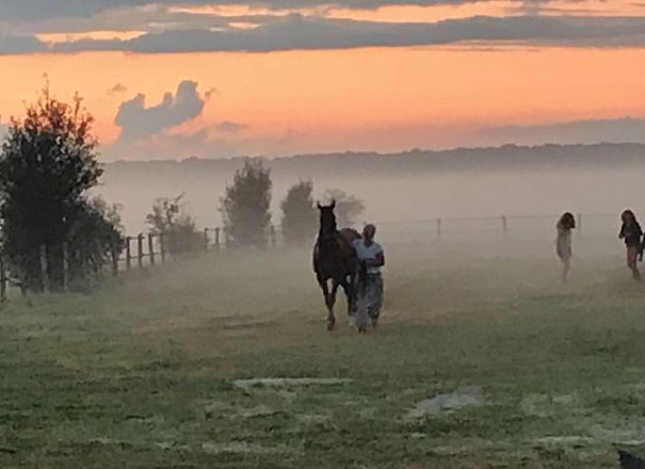 Guest house 202013 - Holiday property Zuidwest Drenthe - Huisje in Koekange