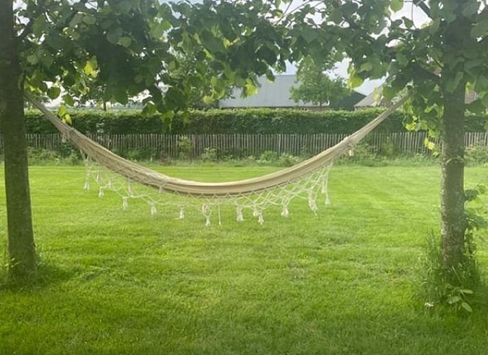 Guest house 202013 - Holiday property Zuidwest Drenthe - Huisje in Koekange