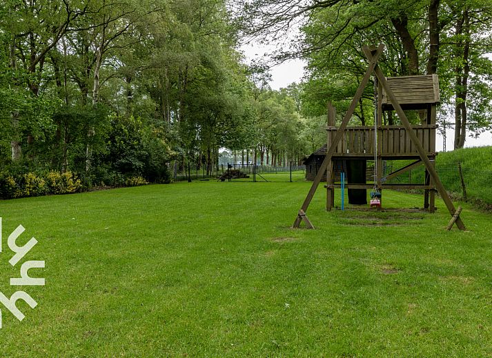 Niedliche Ziegen im Garten des Ferienhauses DG940 in Koekange, Drenthe.