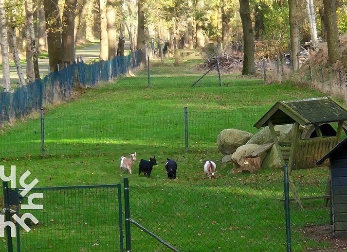 Grosser Garten mit Spielgeraeten im Ferienhaus DG940 in Koekange, Drenthe.