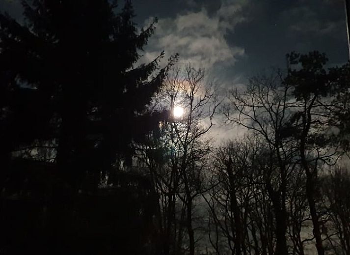 Koffiecorner in Vakantiehuisje in Uffelte, Zuidwest Drenthe, met espressomachine en waterkoker.