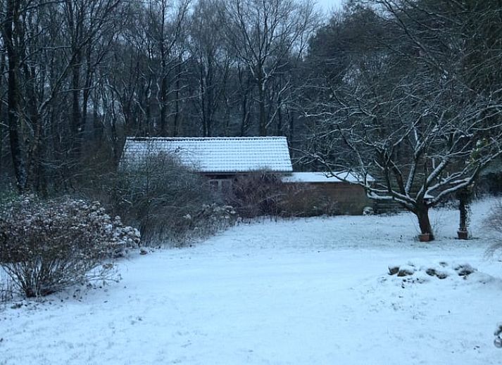 Koffiecorner in Vakantiehuisje in Uffelte, Zuidwest Drenthe, met espressomachine en waterkoker.