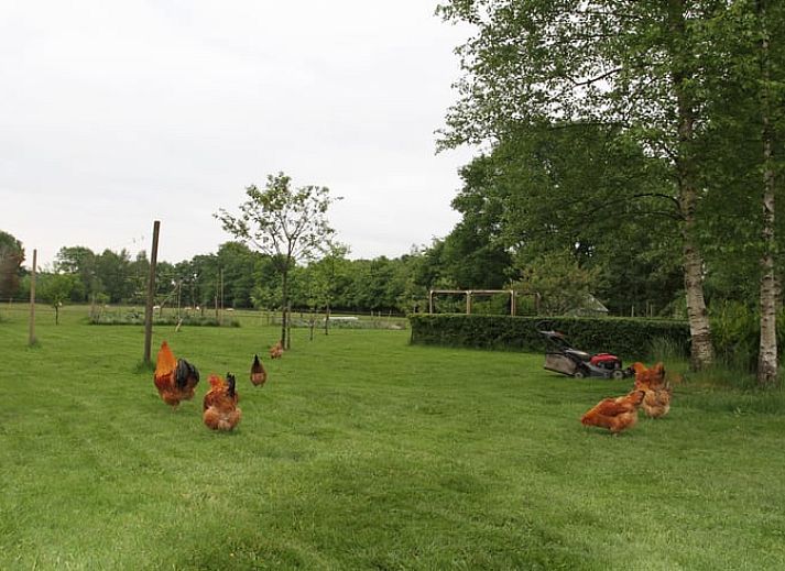 Verblijf 202205 - Vakantiewoning Zuidwest Drenthe - Vakantiehuis in Uffelte