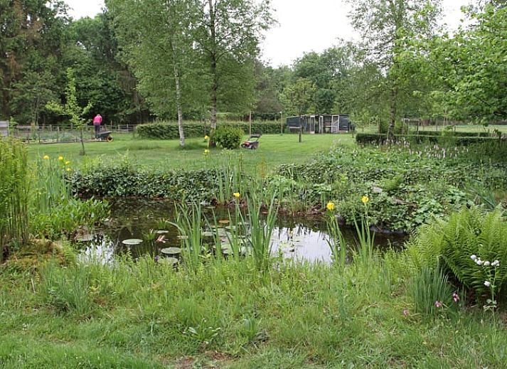 Verblijf 202205 - Vakantiewoning Zuidwest Drenthe - Vakantiehuis in Uffelte