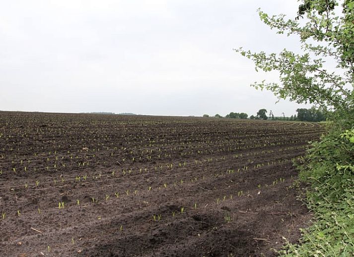 Verblijf 202205 - Vakantiewoning Zuidwest Drenthe - Vakantiehuis in Uffelte
