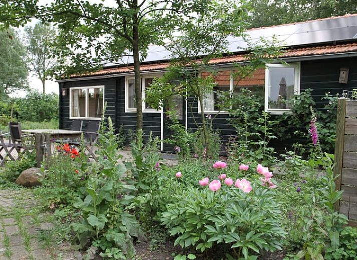 Verblijf 202205 - Vakantiewoning Zuidwest Drenthe - Vakantiehuis in Uffelte