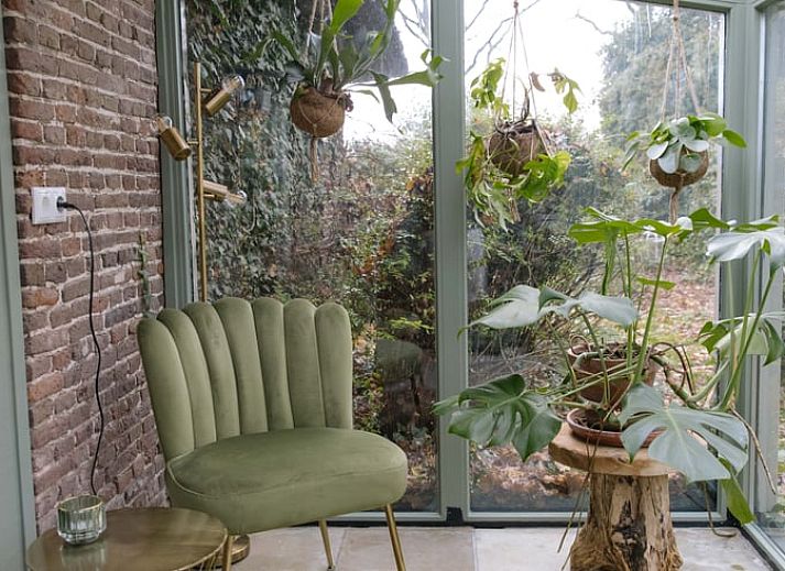 Ruime tuin met hangmat bij Vakantiehuis in Uffelte, Zuidwest Drenthe, ideaal voor ontspannen in de natuur.