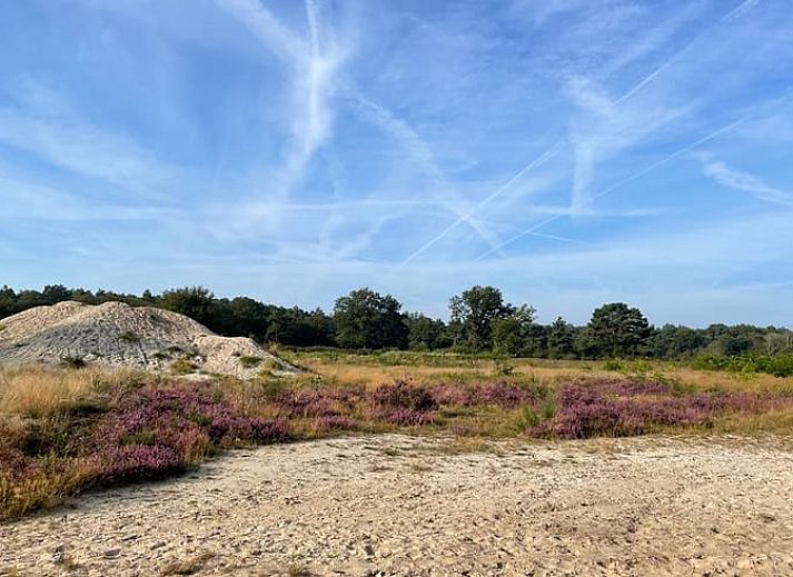 Stijlvolle eetruimte in Vakantiehuis in Uffelte, Zuidwest Drenthe, met moderne verlichting en uitzicht.