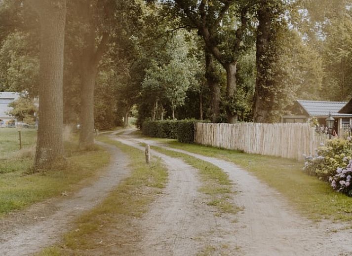 Stilvolles Esszimmer im Ferienhaus in Uffelte, Suedwest-Drenthe, mit Kunst an der Wand und modernen Moebeln.