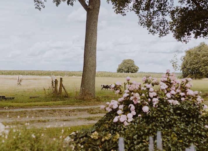 Moderne Kueche eines Ferienhauses in Uffelte, Suedwest-Drenthe, mit weissen Schraenken und sauberer Verarbeitung.