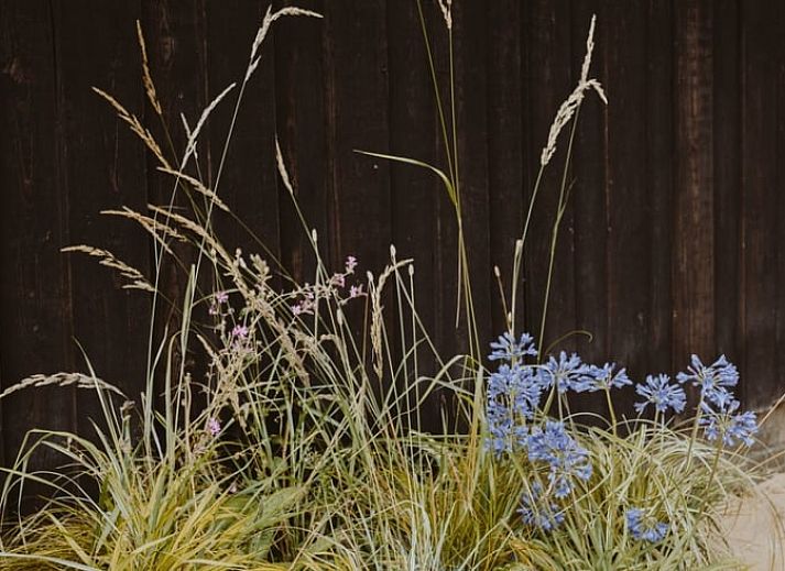 Moderne Kueche eines Ferienhauses in Uffelte, Suedwest-Drenthe, mit weissen Schraenken und sauberer Verarbeitung.