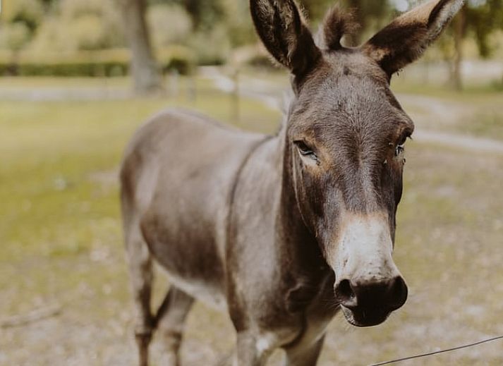 Moderne Kueche eines Ferienhauses in Uffelte, Suedwest-Drenthe, mit weissen Schraenken und sauberer Verarbeitung.