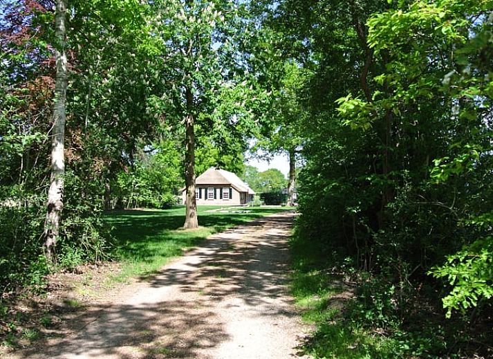 Rustikales Ferienhaus in Uffelte, im Suedwesten von Drenthe, umgeben von gruenen Feldern und Baeumen.