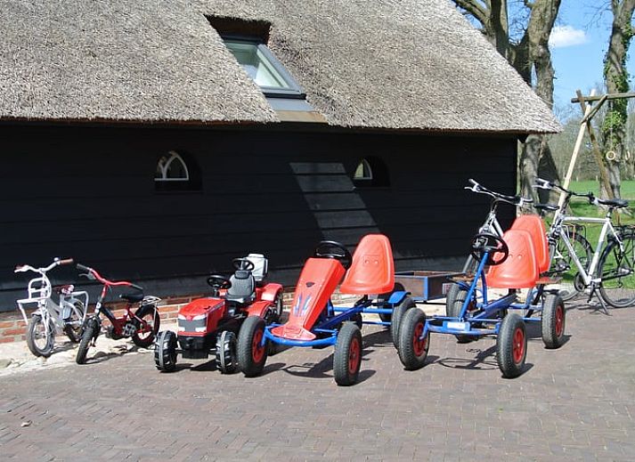 Charmantes Ferienhaus in Uffelte, Suedwest-Drenthe, mit Reetdach und laendlicher Atmosphaere.