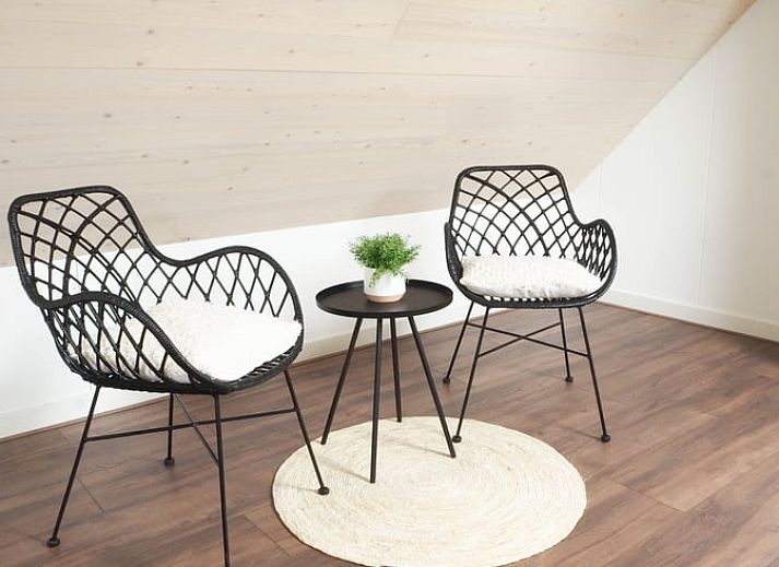 Ein attraktiver Weg inmitten der Natur fuehrt zum Ferienhaus in Uffelte, Suedwest-Drenthe.