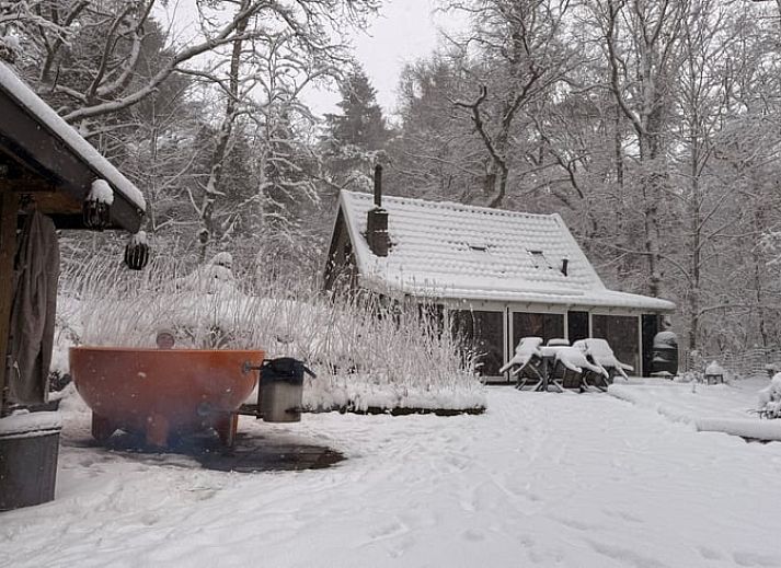Ferienhaus in Uffelte, umgeben von einer waldreichen Landschaft im Suedwesten von Drenthe, ideal fuer Naturliebhaber.
