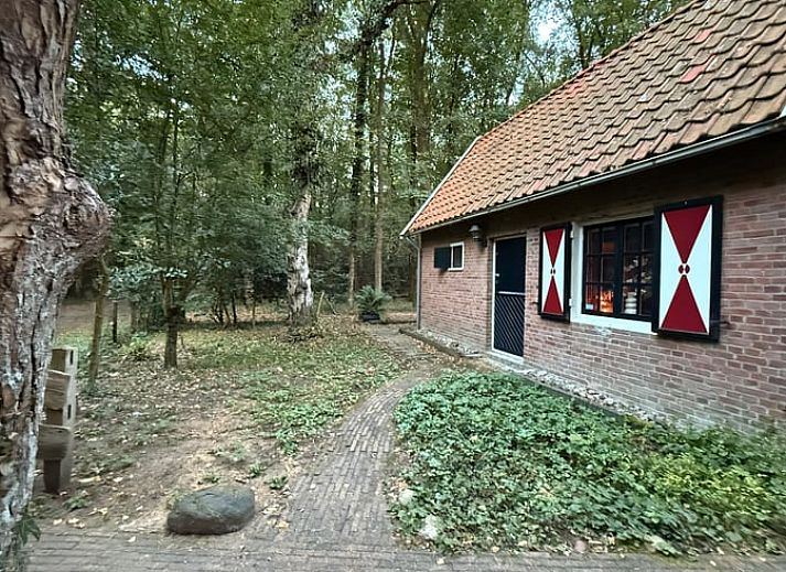 Entspannen Sie sich in einem Aussenpool im Holiday Home in Uffelte, inmitten der ruhigen Waelder von Suedwest-Drenthe.