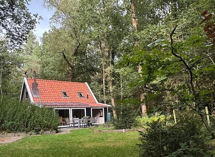 Entspannen Sie sich in einem Aussenpool im Holiday Home in Uffelte, inmitten der ruhigen Waelder von Suedwest-Drenthe.