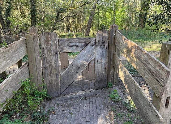 Entspannen Sie sich in einem Aussenpool im Holiday Home in Uffelte, inmitten der ruhigen Waelder von Suedwest-Drenthe.