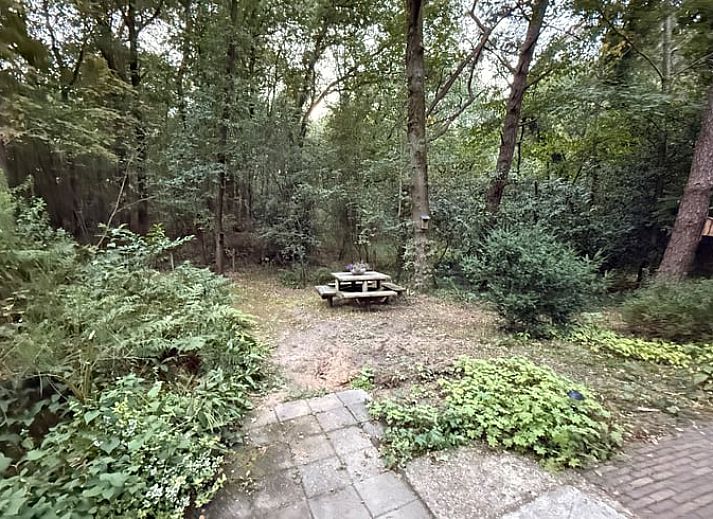 Aussenbereich mit Sitzgelegenheiten im Ferienhaus in Uffelte, ideal fuer einen entspannten Aufenthalt in Drenthe.