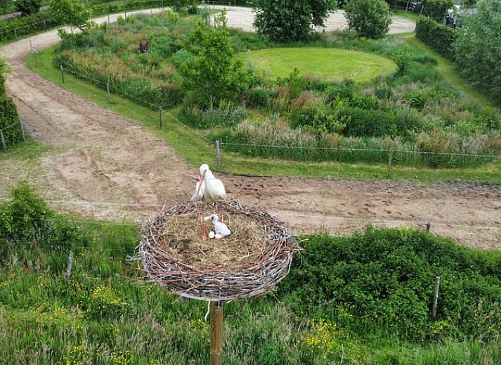 Gezellige woonkamer van Huisje in Elim, vakantiehuis in Elim, Zuidwest Drenthe met comfortabele bank en houten tafel, omgeven door natuur.