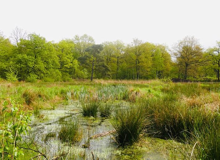Binnenruimte van Huisje in Elim, bed and breakfast in Elim, Zuidwest Drenthe, met gezellige zithoek en keuken.