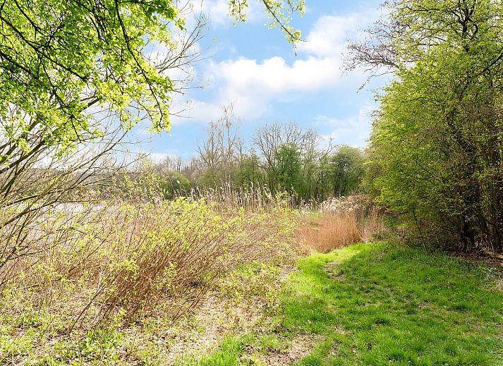 Guest house 202508 - Holiday property Zuidwest Drenthe - Okken House 3A