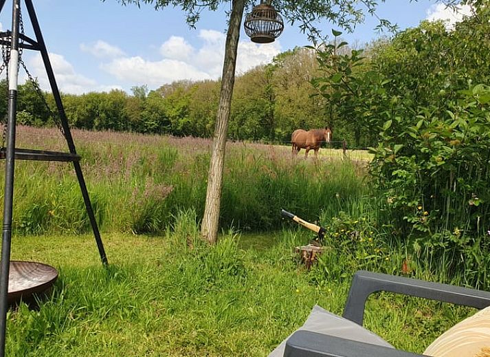 Unterkunft 202510 - Ferienhaus Zuidwest Drenthe - Vakantiehuis in Elim