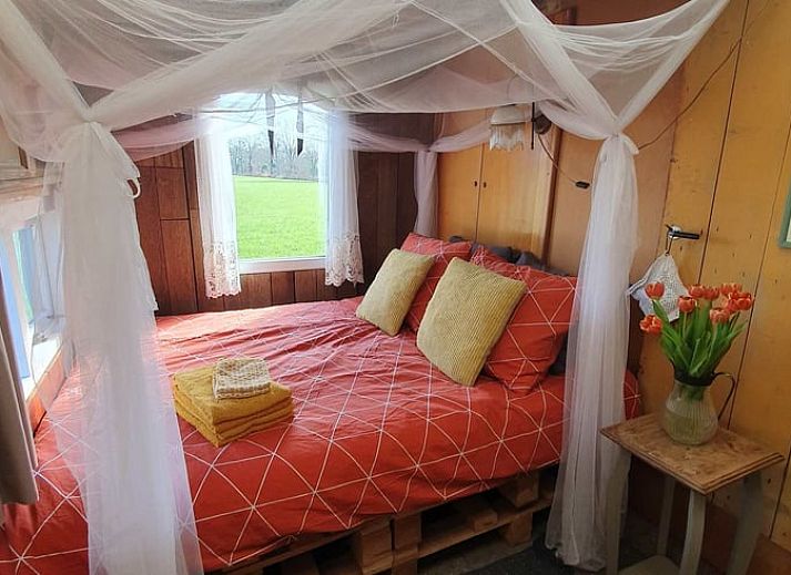 Ruime tuin van Vakantiehuisje in Elim, Zuidwest Drenthe, met picknicktafel en hangmat voor ontspanning.