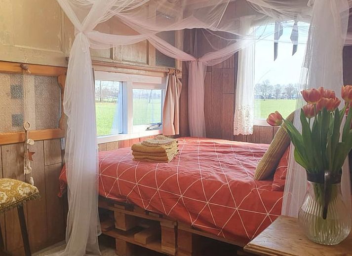 Ruime tuin van Vakantiehuisje in Elim, Zuidwest Drenthe, met picknicktafel en hangmat voor ontspanning.