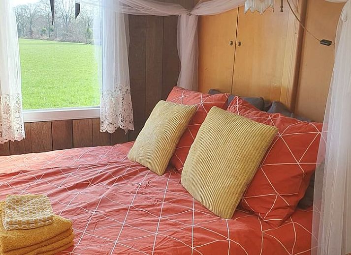 Ruime tuin van Vakantiehuisje in Elim, Zuidwest Drenthe, met picknicktafel en hangmat voor ontspanning.