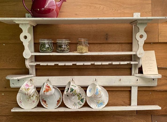 Uitzicht op groene velden vanuit de tuin van Vakantiehuisje in Elim, Zuidwest Drenthe.