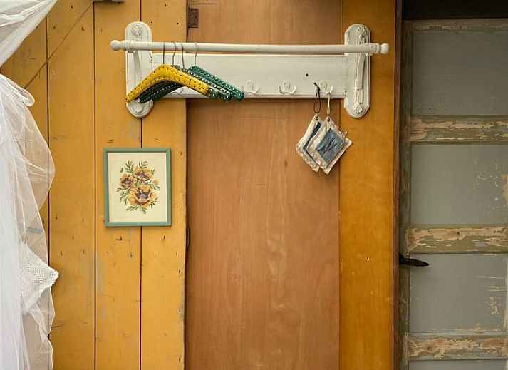 Uitzicht op groene velden vanuit de tuin van Vakantiehuisje in Elim, Zuidwest Drenthe.