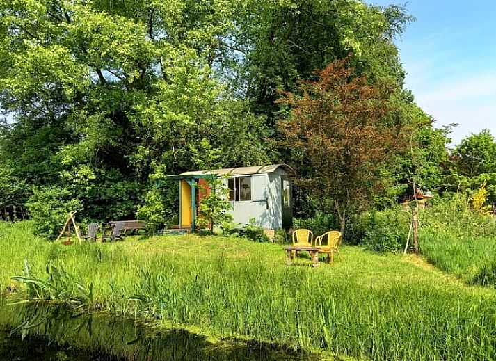 Ferienhaus in Elim, Suedwest-Drenthe, Ferienhaus mit gemuetlicher Veranda und gruenem Garten.