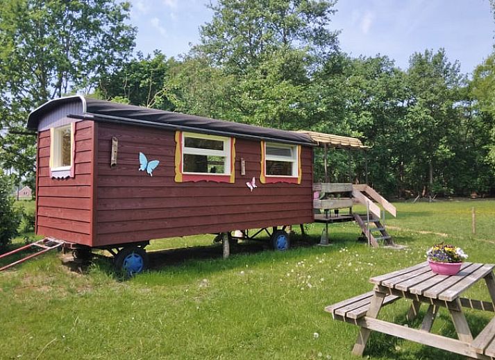 Charmante houten vakantiehuis in Elim, Drenthe, omringd door groen en rustieke picknicktafel.