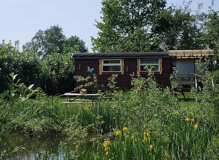 Charmante houten vakantiehuis in Elim, Drenthe, omringd door groen en rustieke picknicktafel.