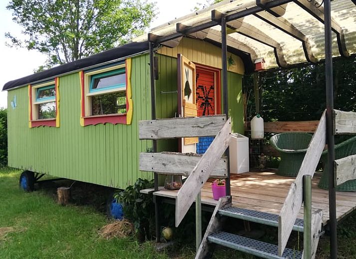 Charmante houten vakantiehuis in Elim, Drenthe, omringd door groen en rustieke picknicktafel.