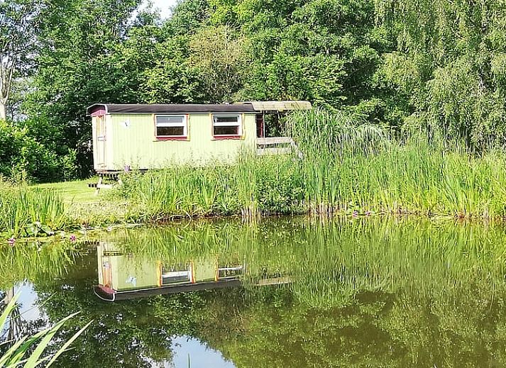 Vakantiehuis in Elim, Drenthe, met uitzicht op een vijver en weelderige natuur.