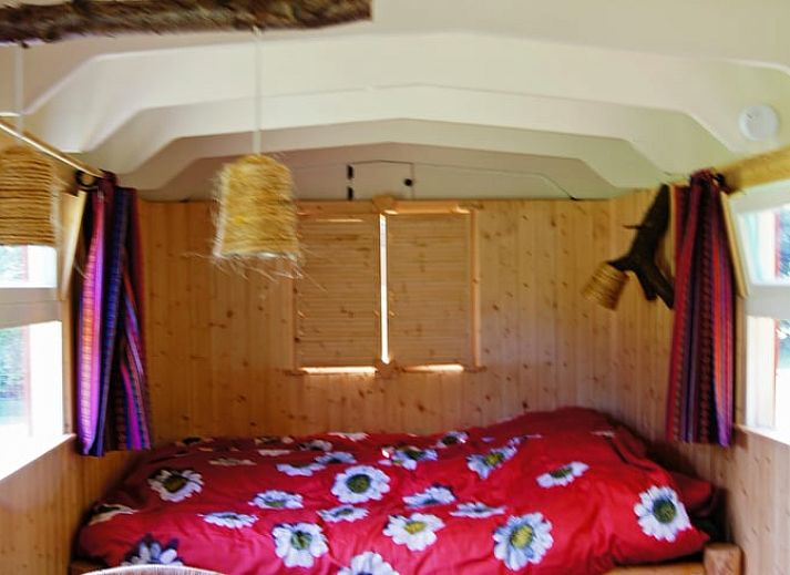 Vakantiehuis in Elim, Drenthe, met uitzicht op een vijver en weelderige natuur.