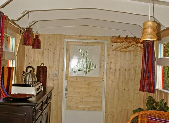 Vakantiehuis in Elim, Drenthe, met uitzicht op een vijver en weelderige natuur.