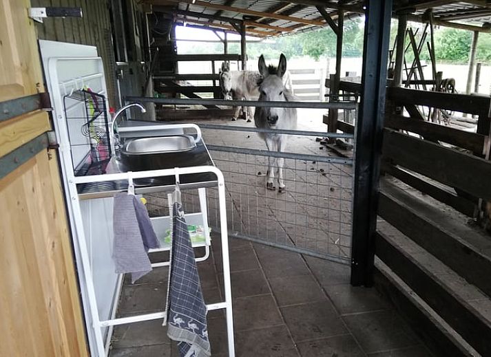 Uitzicht vanaf de veranda van vakantiehuis in Elim, Drenthe, met groene tuin en zonlicht.