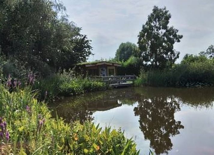 Ferienhaus in Elim, umgeben von gruener Natur und einem Teich, in Suedwest-Drenthe gelegen. Perfekter Ort fuer Ruhe und Entspannung.
